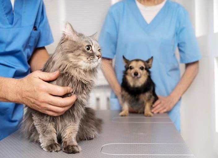 Пенсия по смешанному стажу в мчс — 2021 год