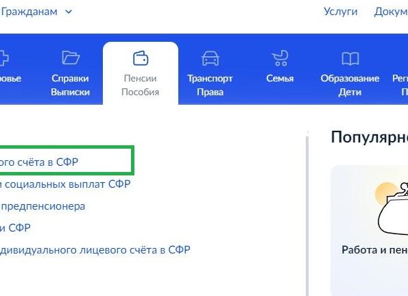 Как проверить пенсионные накопления через госуслуги - 2021 год Как проверить пенсионные накопления через госуслуги - 2021 год